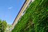 New York trifft Alte Donau – Designerloft mit Garten & Pool - Bild